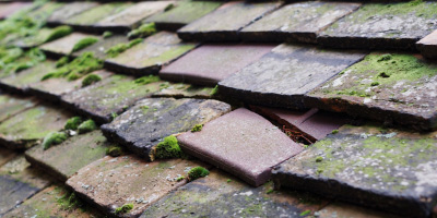 Cornwall roof repair costs